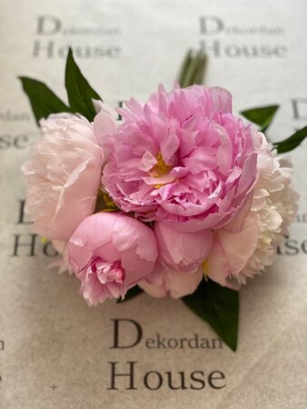 Premium 1.Kalite İpek Pembe Şakayık - 3