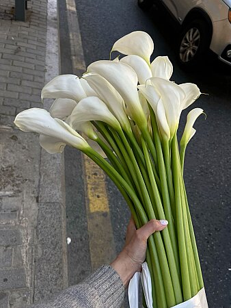Yapay 1. Kalite Beyaz Gala Çiçeği (75cm Tek Dal)