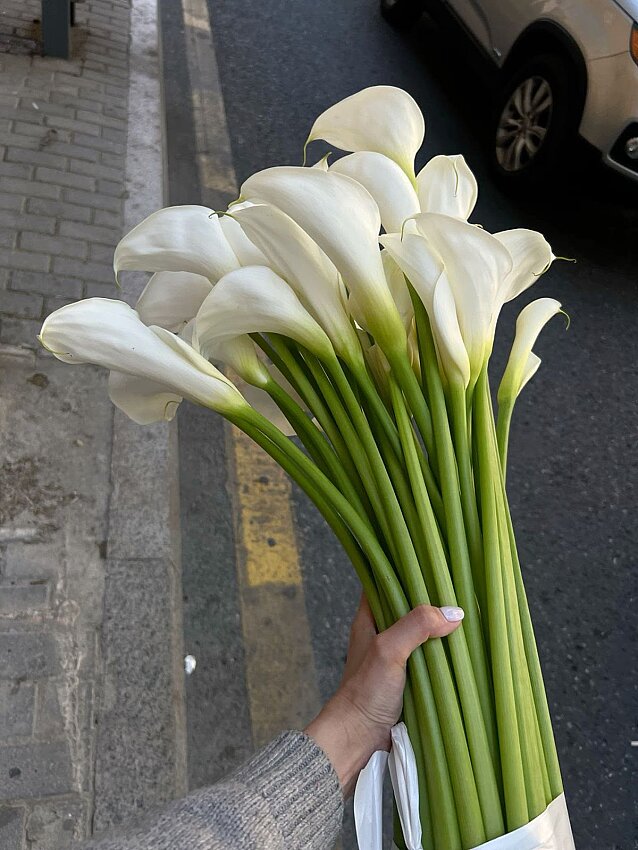 Yapay 1. Kalite Beyaz Gala Çiçeği (75cm Tek Dal) - 1