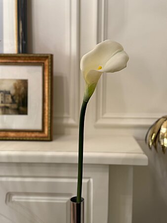 Yapay 1. Kalite Beyaz Gala Çiçeği (75cm Tek Dal) - 3